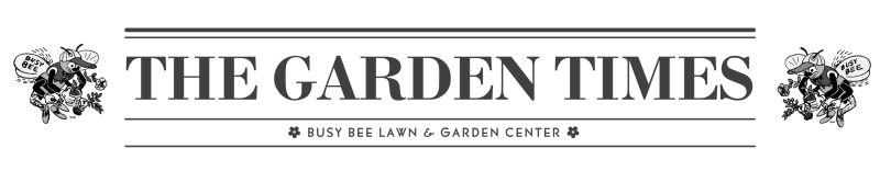 Black and White Vintage Breaking News Newsletter (6)