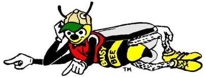 Laying Bee - Color (2023_05_10 23_46_04 UTC).JPG