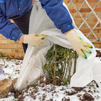 Frost Proofing Your Garden